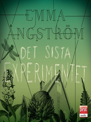 cover image of Det sista experimentet